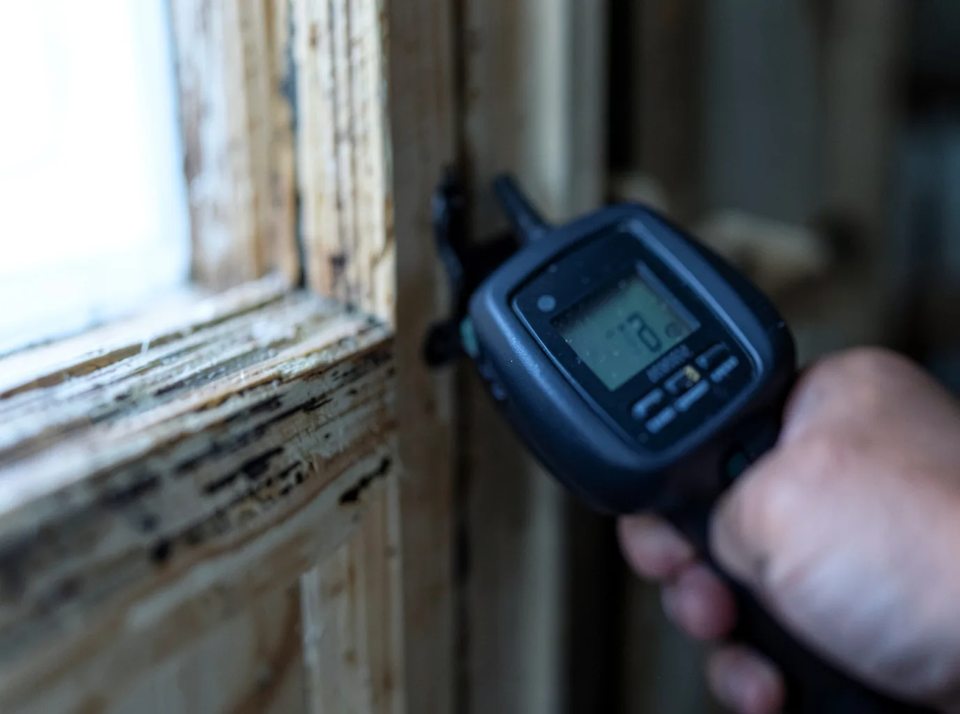 Moisture Inspection And Documentation in Brewster, MA